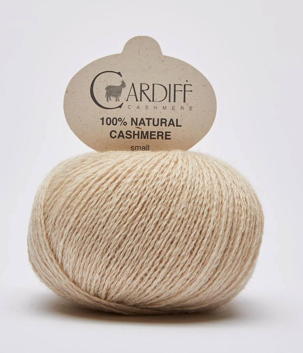 Cardiff Small / Silver