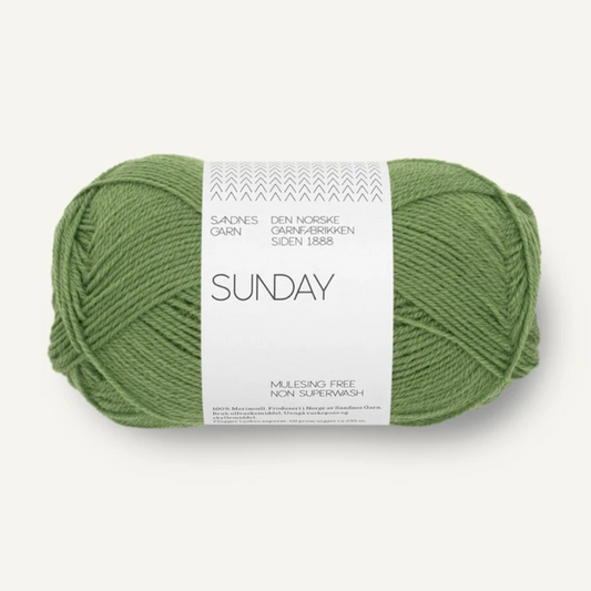 Sunday / Vineyard Green (8753)