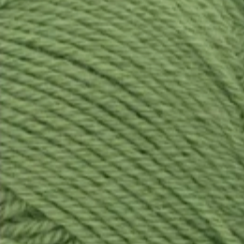 Sunday / Vineyard Green (8753)